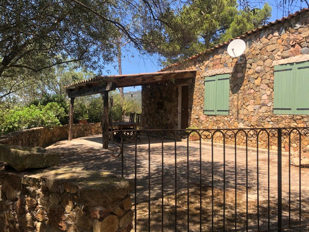 Maison De Campagne Sarragia Exteriér fotografie