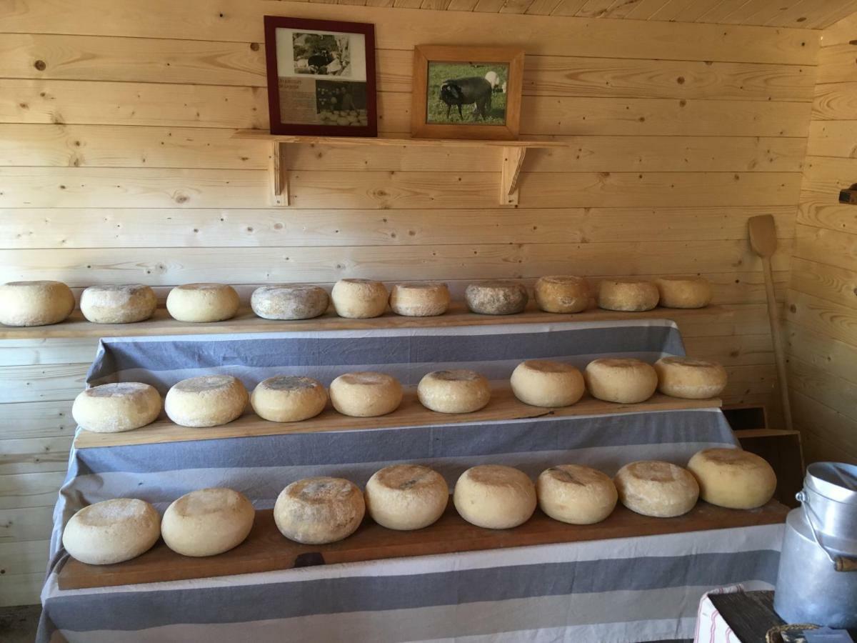 Maison De Campagne Sarragia Exteriér fotografie